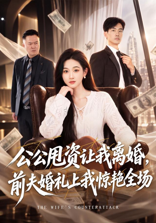 公公甩资让我离婚，前夫婚礼上我惊艳全场海报